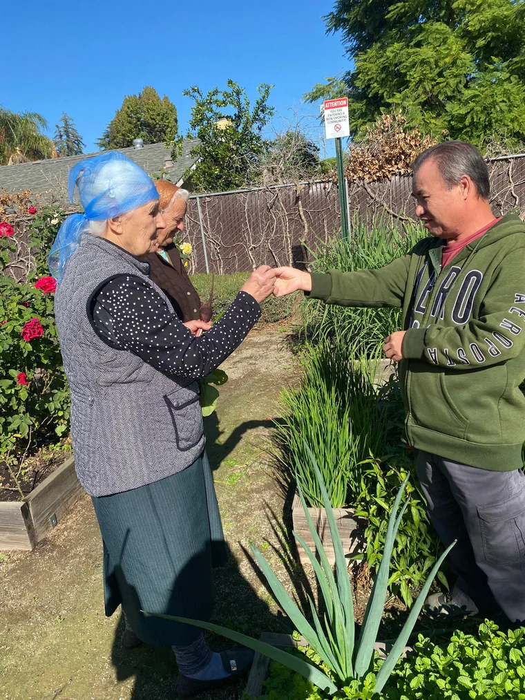 Two gardeners shaking hands across a bed of tall green onions at a FIRM community garden.